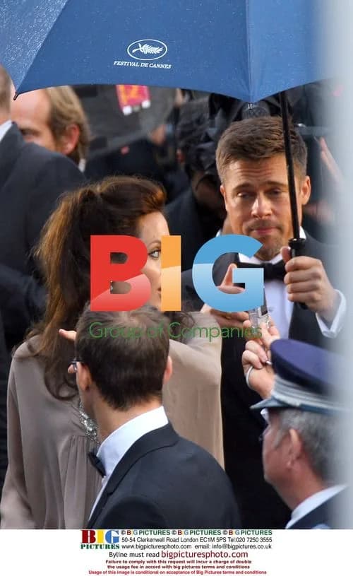 Angelina Jolie and Brad Pitt on Cannes Red Carpet