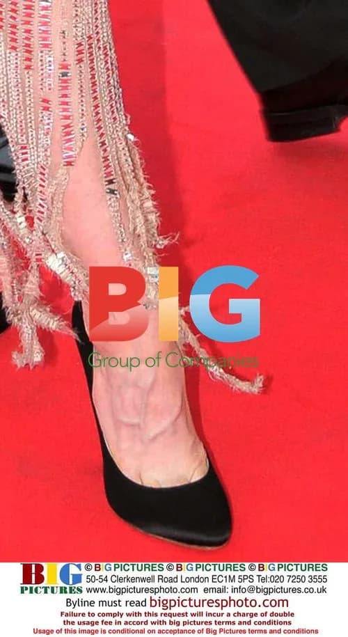 Madonna at Cannes premiere of "Che"
