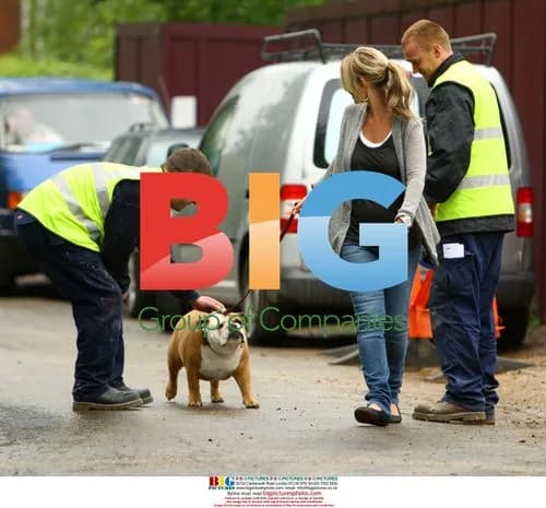 Pregnant Louise Redknapp Walks Dogs