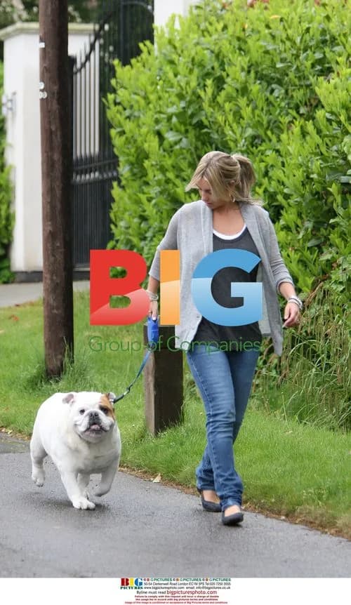 Pregnant Louise Redknapp with dogs