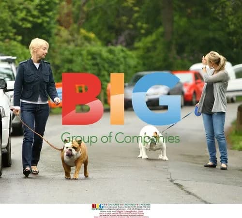 Pregnant Louise Redknapp out with dogs