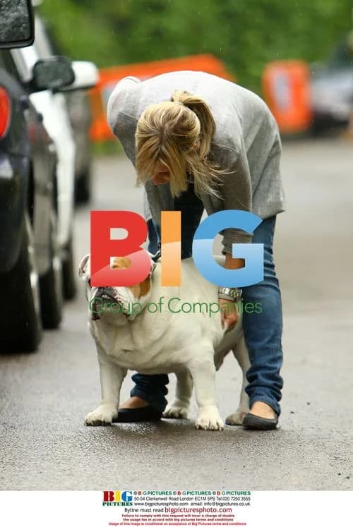 Pregnant Louise Redknapp Walks Dogs