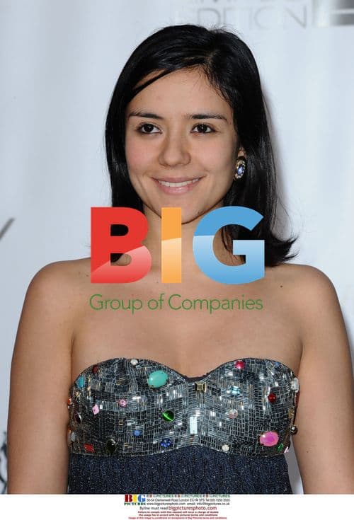 amfAR Cinema Against AIDS 2008 gala