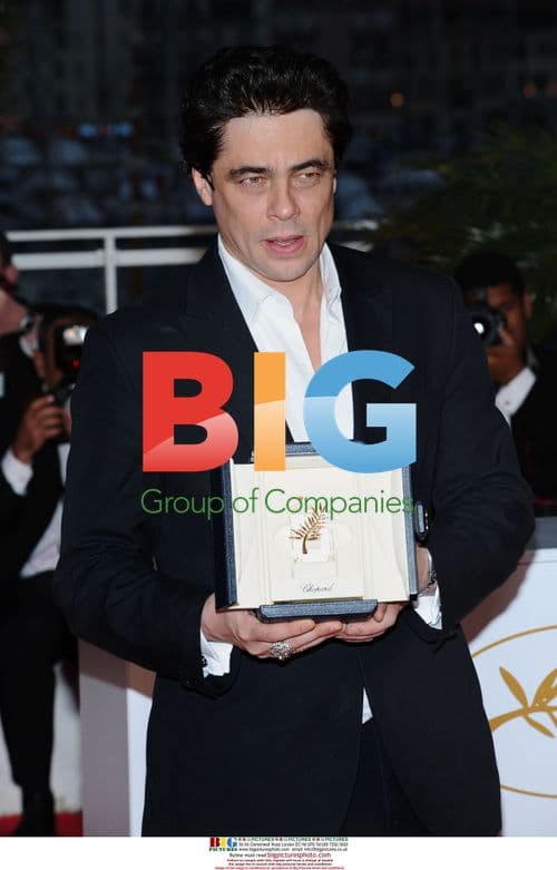 Benicio Del Toro at Cannes Palme d'Or Ceremony