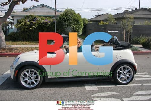 Lauren Hutton and friend shopping