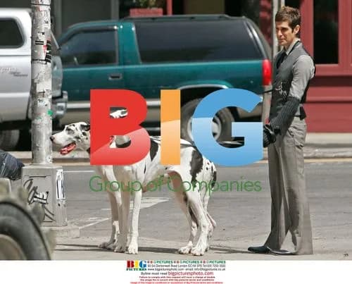 Perry Farrell walks spotted Great Danes in NYC