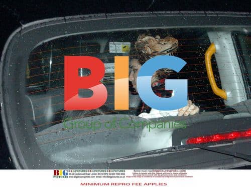 Amy Winehouse Appears Healthy in London