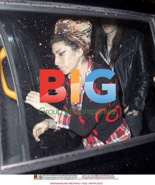 Amy Winehouse Healthy Recovery