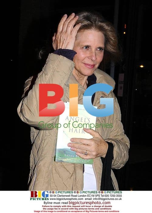 Lindsay Wagner Promotes Workshops on RTE