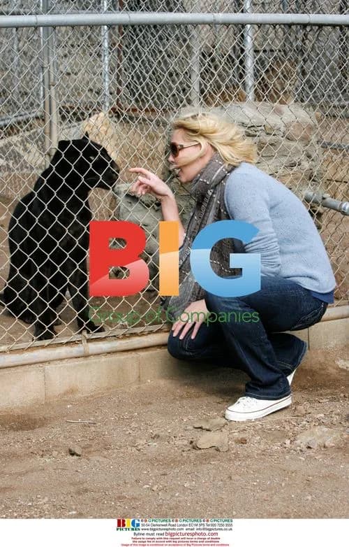 Katherine Heigl Visits Villalobos Rescue Center