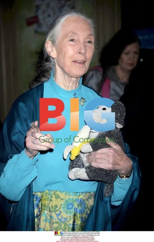 Jane Goodall at Glamour Women of the Year Awards