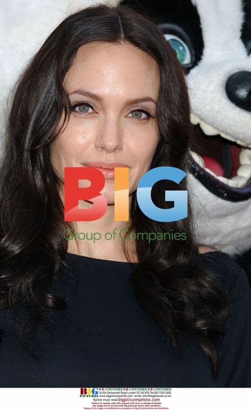 Angelina Jolie at Kung Fu Panda DVD Premiere