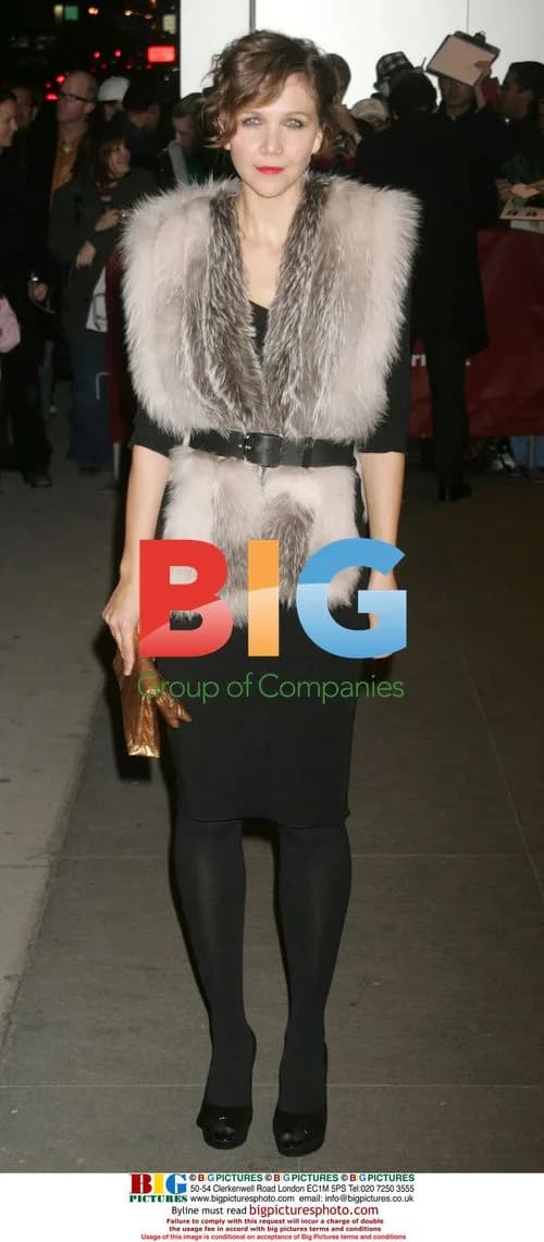Maggie Gyllenhaal at MoMA Benefit Gala