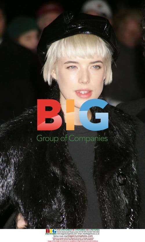 Agyness Deyn at MoMA Benefit Gala