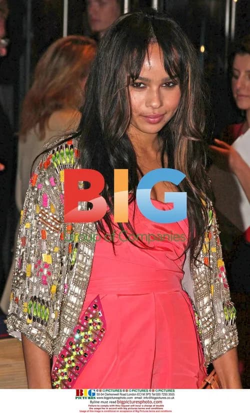 Zoe Kravitz at MoMA Film Benefit Gala