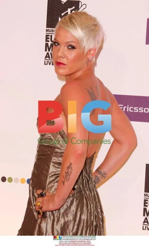 Pink at 2008 MTV Europe Music Awards