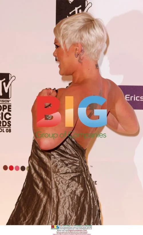 Pink at the 2008 MTV Europe Music Awards