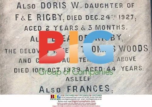Eleanor Rigby Document Auction
