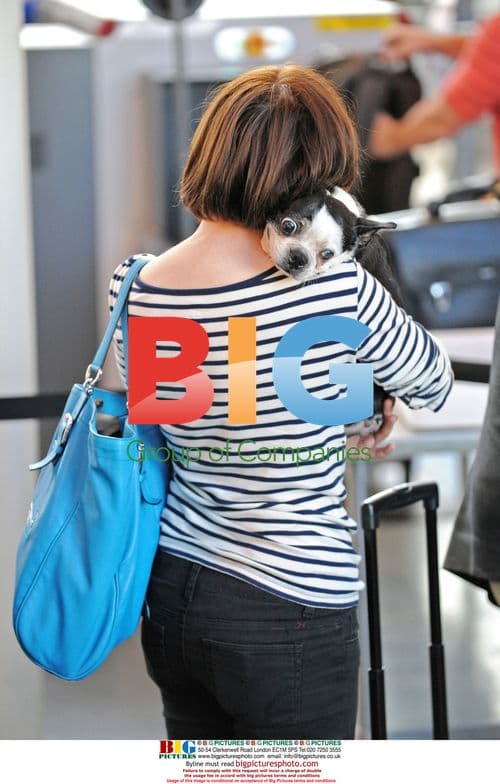 Rose McGowan at LAX with dog
