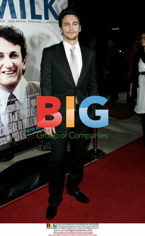 James Franco at 'Milk' LA Premiere