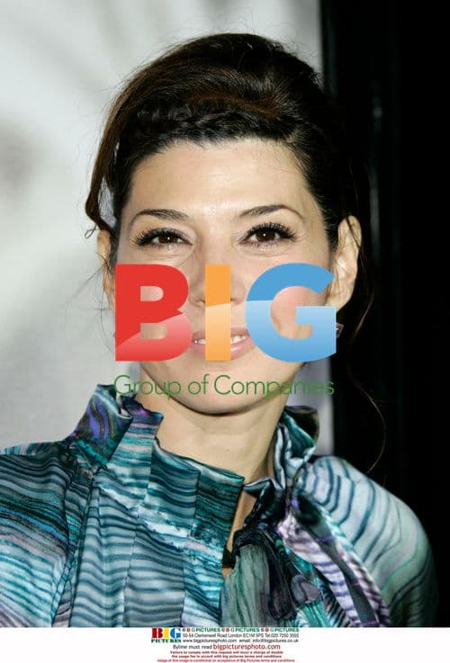 Marisa Tomei at 'Milk' LA Premiere