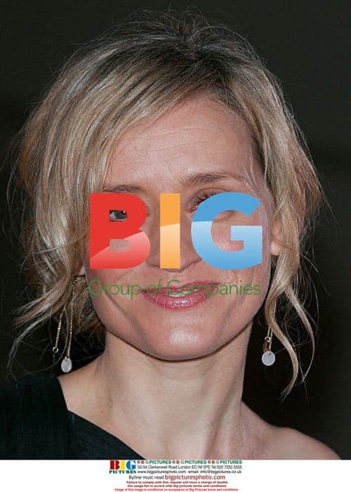 Anne Marie Duff at 2008 Variety Club Awards