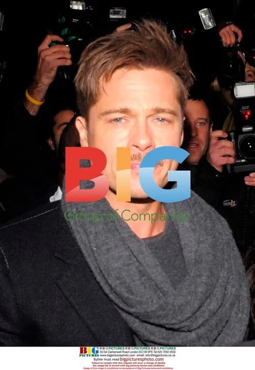 Brad Pitt and Angelina Jolie at 'Changeling' screening