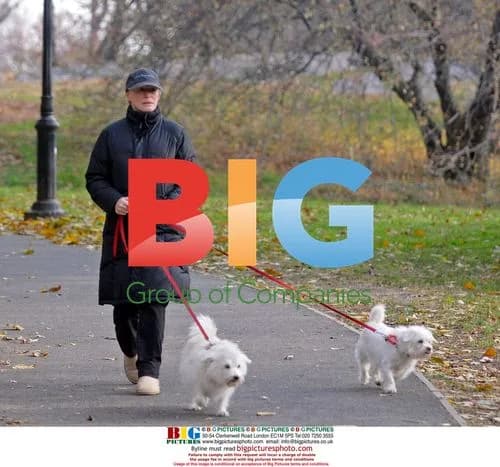 Glenn Close walks dogs in Central Park
