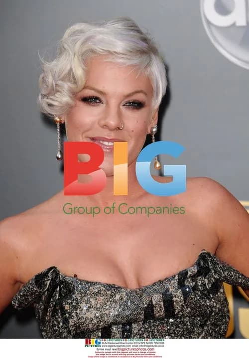 PINK at 2008 American Music Awards