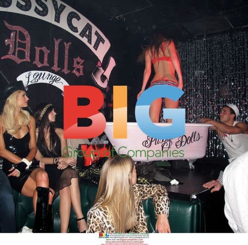 Paris Hilton at Pussycat Dolls Party