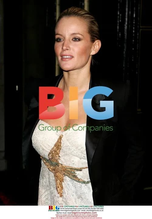 Davinia Taylor at British Fashion Awards 2008