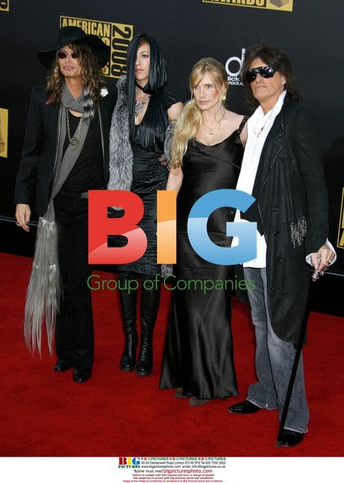 Aerosmith Members Attend 2008 AMAs