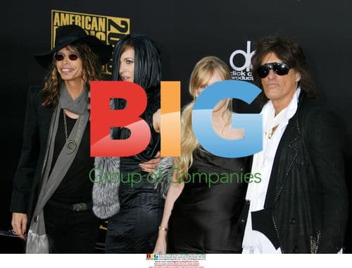 Aerosmith Members at 2008 AMAs