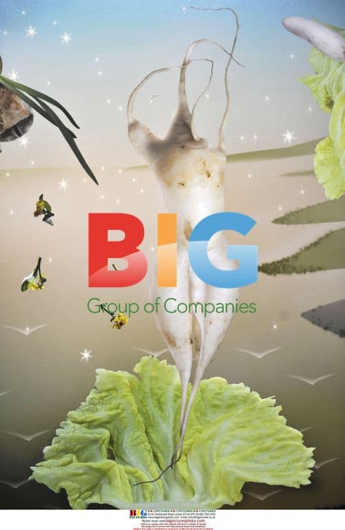 Vegetable Paintings by JuDuoqi