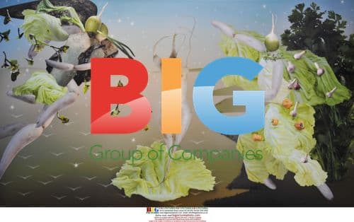 Artist JuDuoqi's Vegetable Paintings