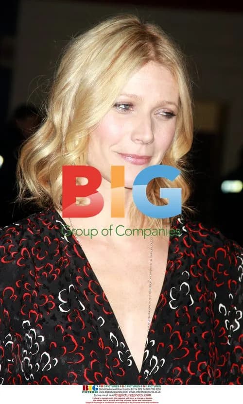 Gwyneth Paltrow at Can-Do Awards