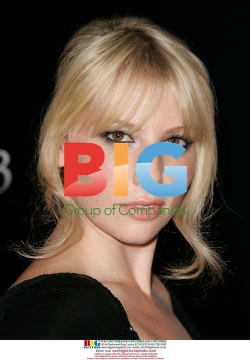 Ari Graynor at 'Nick & Norah' LA Premiere