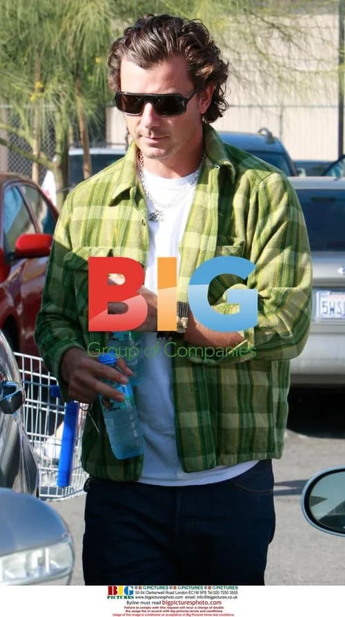 Gavin Rossdale and Gwen Stefani at toy store