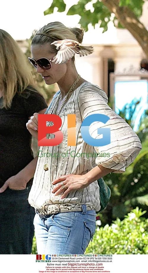 Heidi Klum and family outing