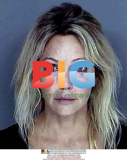 Heather Locklear Arrested for Reckless Driving