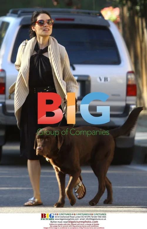 Lucy Liu glammed up for photoshoot with dog