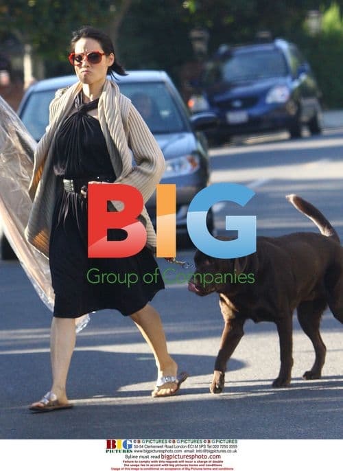 Lucy Liu glams up for Beverly Hills photoshoot