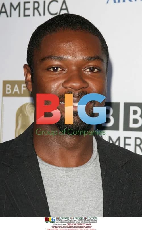 David Oyelowo at BAFTA/LA TV Tea Party 2008