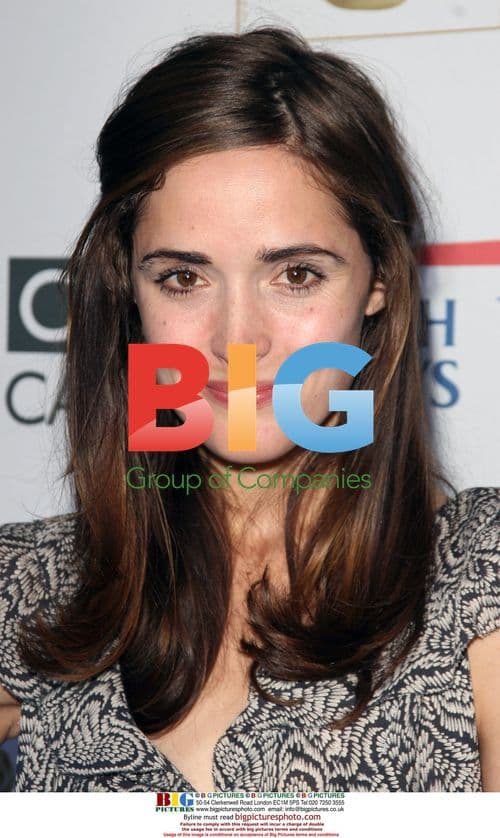 Rose Byrne at BAFTA/LA TV Tea Party