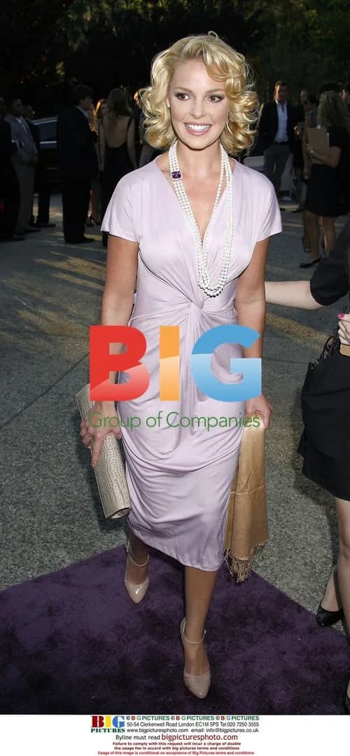 Katherine Heigl at Chrysalis Butterfly Ball