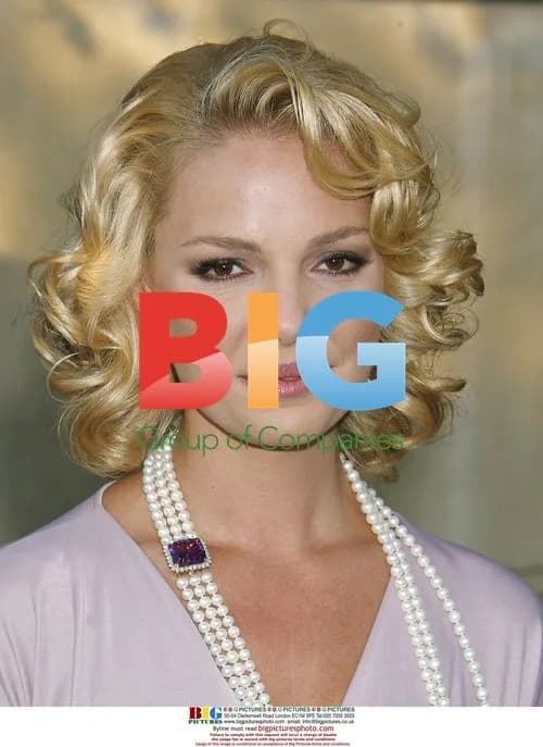 Katherine Heigl at Chrysalis Butterfly Ball