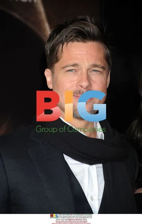 Brad Pitt at 'Changeling' Premiere