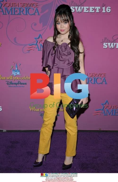 Miley's sweet 16 at Disneyland
