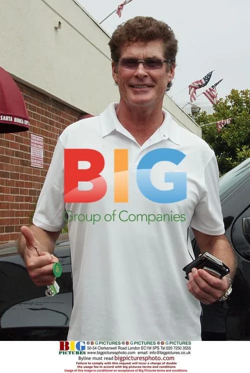 David Hasselhoff Tanning in Santa Monica