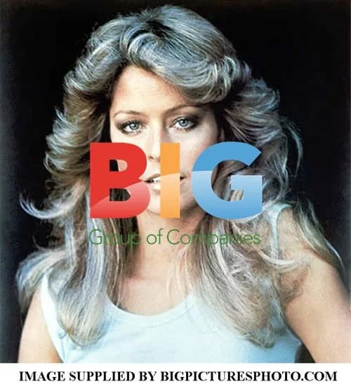 Farah Fawcett Portrait